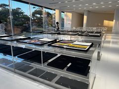 -罗红摄影艺术馆