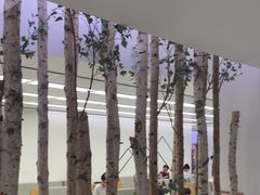 -极简口腔(总院)