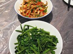 -壹盏灯(惠农店)