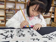 -曦辰书院·书法篆刻