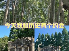 -音乐台