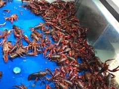 -盒马鲜生(和谐广场店)