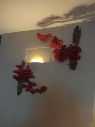 -琦品高端美容SPA私佳美场