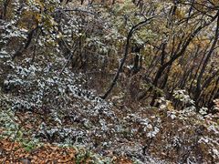 -帽儿山国家森林公园