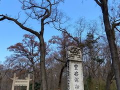 -灵谷景区