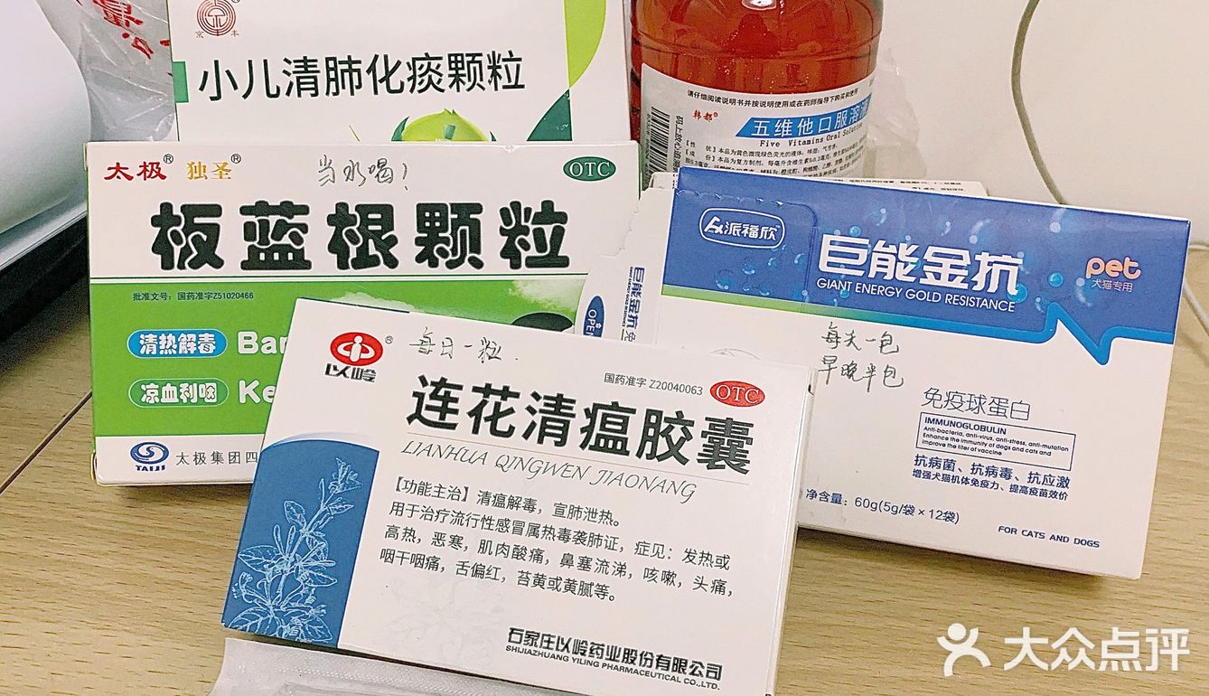 毛孩子感冒不容小觑！一定要及时检测，排除犬瘟可能！