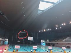 -重庆市奥林匹克体育中心-游泳跳水馆