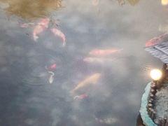 -麦积山温泉