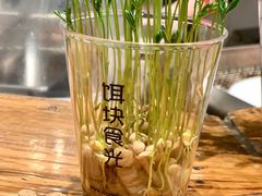 -饵块食光·云南有机手作饵块