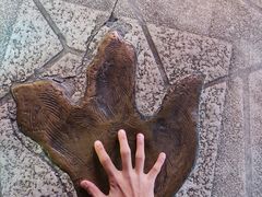 -中华恐龙园