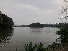 -海珠湖公园