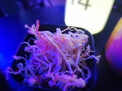 -好久不见网红乐队酒吧(鼓浪屿海底世界店)