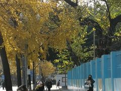 -四川大学(望江校区)