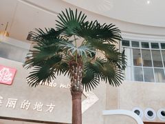 -甘思咪哚·云南艺术餐厅(天河广百店)