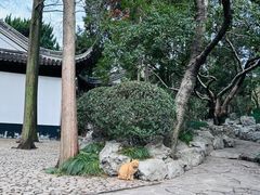 -汇龙潭