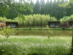 -黄海国家森林公园