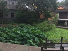 -范蠡湖公园