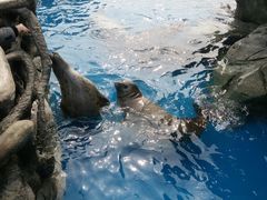 -华夏文旅海洋公园