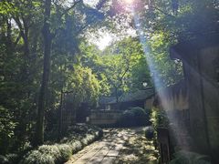 -法云安缦酒店