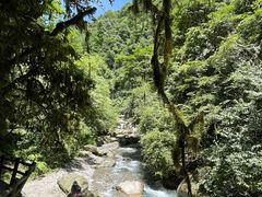 -西岭雪山大飞水景区