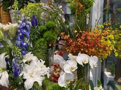 -FEI FEI FLOWER鲜花店·气球派对·宝宝宴布置(虹口德必运动Loft店)
