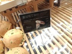 -可莎蜜兒(金城店)