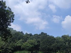 -龙坞茶村