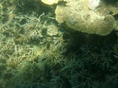 -蓝湾海滩