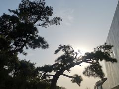 景点-罗红摄影艺术馆