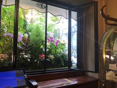 -花神咖啡馆