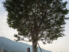 -艾米稻香小镇