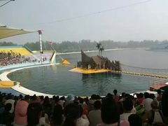 -秦皇岛乐岛海洋王国