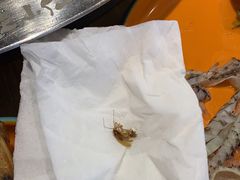 -铭记蛙小仙·活蛙畅享(CBD万达广场店)