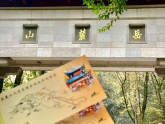 -茶颜悦色(岳麓山顶店)