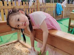 -长洲岛都市农业公园