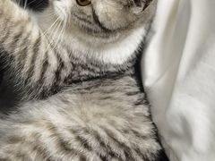 -东方动物医院·宠保定点·骨科·转诊中心(春城路·昆明站分院)