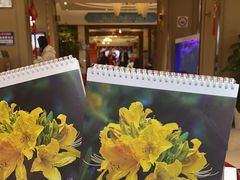 -白玉兰酒店(上海田子坊马当路地铁站店)