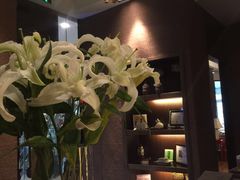 -Dragonfly 悠庭·按摩Spa(苏州中心广场店)