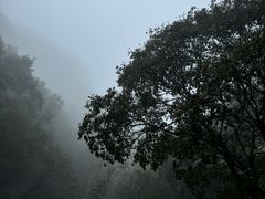 -驼梁风景区