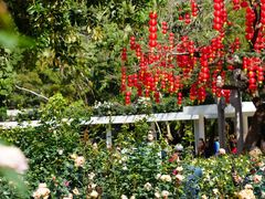 -人民公园(罗湖区)