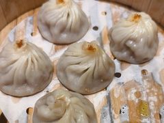 -小杨生煎(深圳岗厦北店)