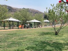 -名花谷生态庄园