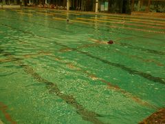 -龙脉温泉室内游泳馆