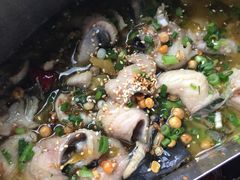 -舒来喜鱼锅(伊河路店)