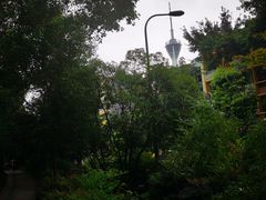 -成都市活水公园