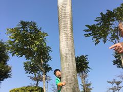 -厦门宝龙铂尔曼大酒店·龙之渊中餐厅