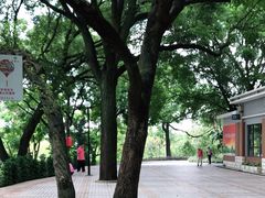 -云溪植物园