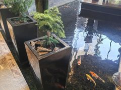 -深圳隐秀山居酒店