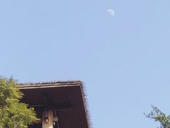 -张坝桂圆林公园