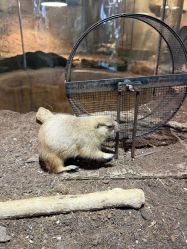 -Zoolung Zoolung动物主题公园(海信广场店)